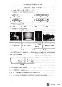 2023沧州高二下学期3月月考化学试题扫描版含答案