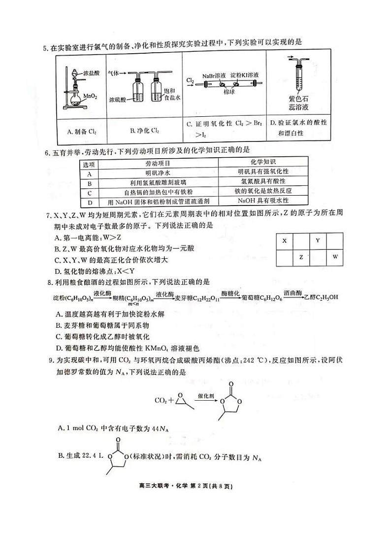 衡水金券广东省东莞市3校2022-2023学年高三下学期3月联考化学试题及答案第2页