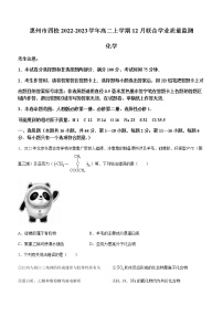 广东省惠州市四校2022-2023学年高二上学期12月联合学业质量监测化学试卷（Word版含答案）