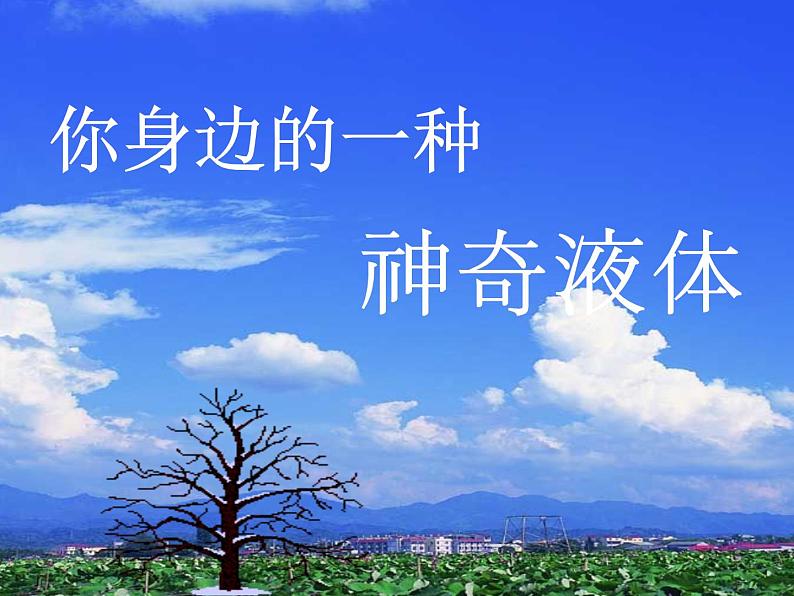 乙醇与乙酸第一课时课件PPT01