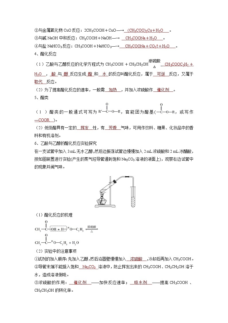 (寒假班)人教版高中化学必修第二册同步讲义第七章有机化合物第三节  乙醇与乙酸（含详解）03