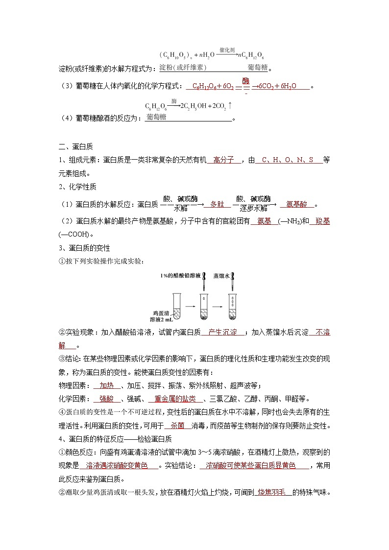 (寒假班)人教版高中化学必修第二册同步讲义第七章有机化合物第四节  基本营养物质（含详解）03
