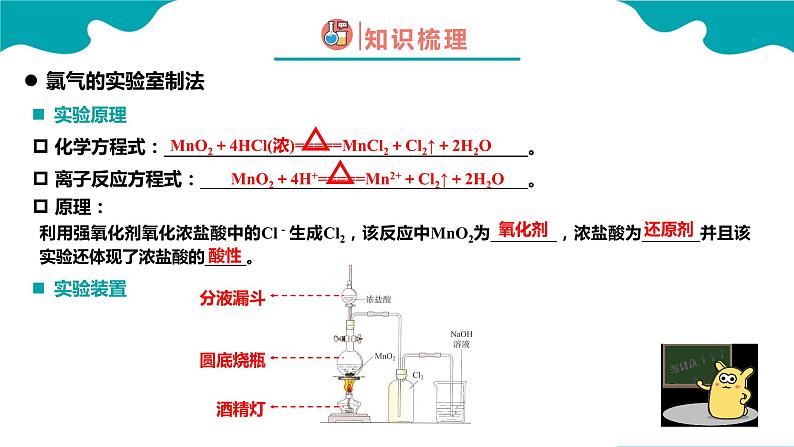 2.2.3 氯及其化合物（3）-高一化学同步备课系列（人教版必修第一册）课件PPT第4页