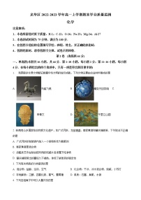 广东省深圳市龙华区2022-2023学年高一上学期期末学业质量监测化学试题（Word版含答案）