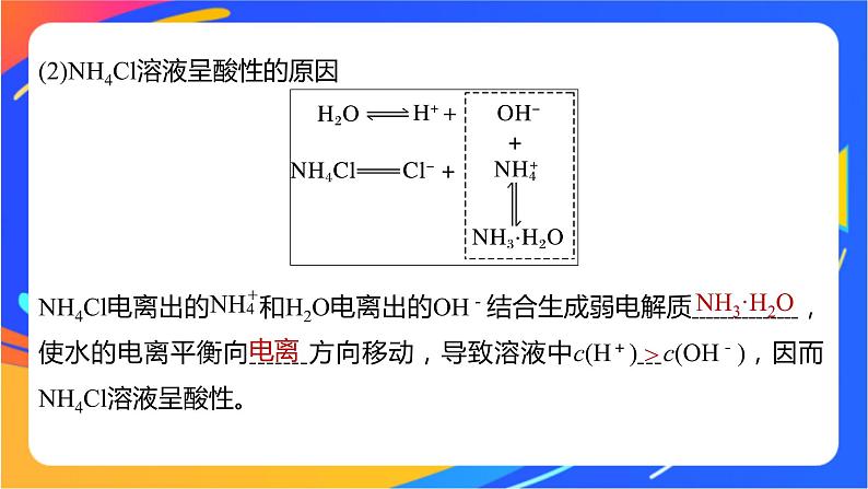 专题3第三单元 盐类的水解 第1课时　盐类水解的原理课件PPT07