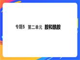 專題5 第二單元　胺和酰胺課件PPT