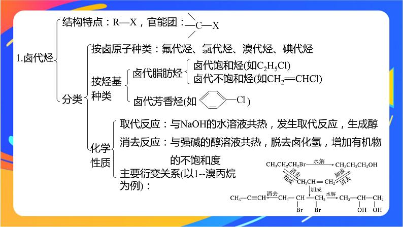 专题5 药物合成的重要原料——卤代烃、胺、酰胺  体系构建　体验高考课件PPT04