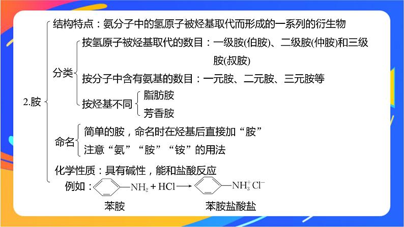 专题5 药物合成的重要原料——卤代烃、胺、酰胺  体系构建　体验高考课件PPT05