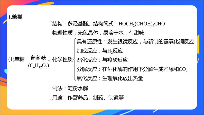 专题6 生命活动的物质基础——糖类、油脂、蛋白质 体系构建　体验高考课件PPT04