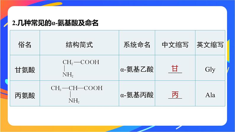 专题6 第二单元　蛋白质  第1课时　氨基酸、蛋白质课件PPT07