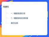 专题6 第二单元　蛋白质  第2课时　核酸的结构及生物功能课件PPT