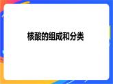 专题6 第二单元　蛋白质  第2课时　核酸的结构及生物功能课件PPT