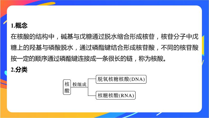 专题6 第二单元　蛋白质  第2课时　核酸的结构及生物功能课件PPT05