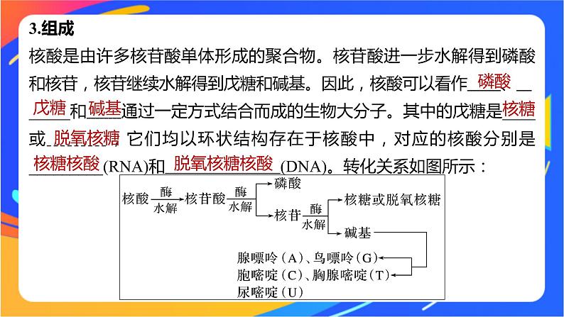 专题6 第二单元　蛋白质  第2课时　核酸的结构及生物功能课件PPT06