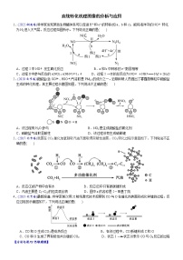 04    直线转化机理图像的分析与应用（附答案解析）-备战高考化学大二轮专题突破系列（全国通用）