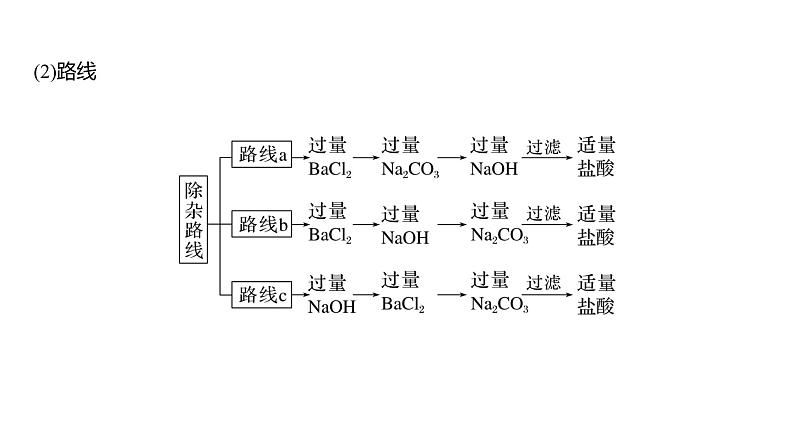 新高考化学一轮复习课件  第1章 第3讲　必做实验提升(一)　用化学沉淀法去除粗盐中的杂质离子第5页