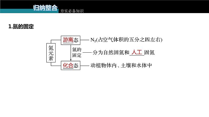 新高考化学一轮复习课件  第4章 第22讲　氮及其氧化物、氢化物和铵盐07