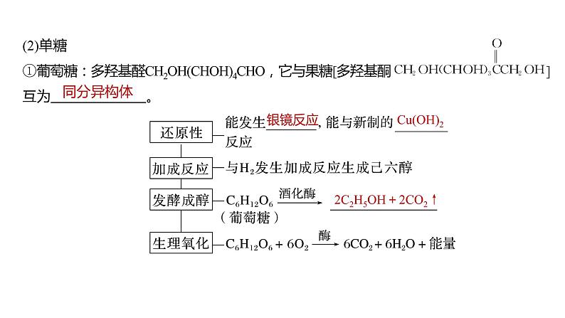 新高考化学一轮复习课件  第9章 第61讲　生命中的基础有机化学物质　合成有机高分子08