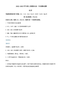 四川省成都市第七中学2022-2023学年高一上学期期末模拟考试化学试题Word版含解析