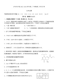 四川省泸州市泸县2022-2023学年高二下学期第二学月月考化学试题（含答案）