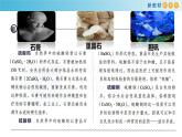 5.1.4 硫酸根离子的检验  粗盐提纯（精品课件）-高一化学同步精品课堂（人教版必修第二册）