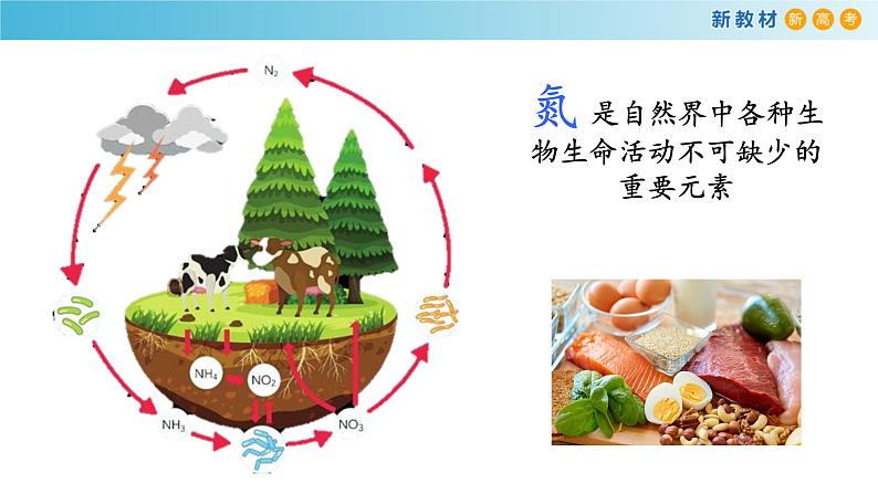 5.2.2 氮的氧化物溶于水的计算（精品课件）-高一化学同步精品课堂（人教版必修第二册）第2页