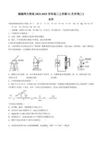 2022-2023学年湖南省湖南师大附高高三上学期11月月考(三)化学试题（PDF版）