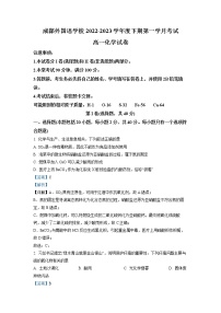 四川省成都外国语学校2022-2023学年高一化学下学期3月月考试题（Word版附解析）