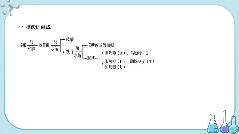 人教版高中化学选择性必修3·第四章 第三节 核酸（课件PPT）03