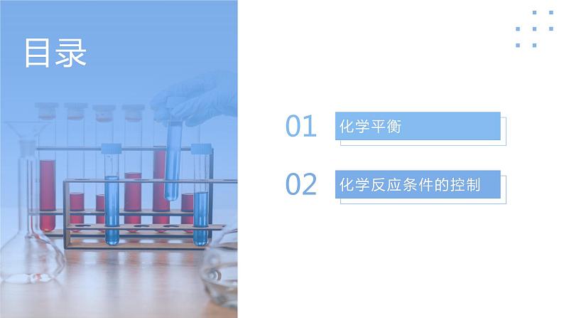 6.2.2化学反应限度（教学课件）-高一化学同步备课系列（人教版2019必修二）第2页