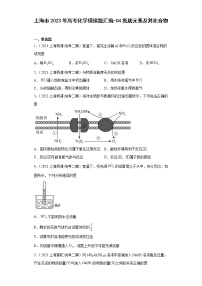 上海市2023年高考化学模拟题汇编-04氮族元素及其化合物