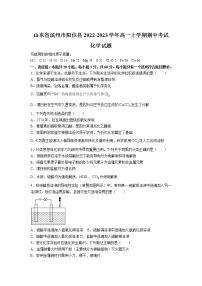 2022-2023学年山东省滨州市阳信县高一上学期期中考试化学试卷含答案