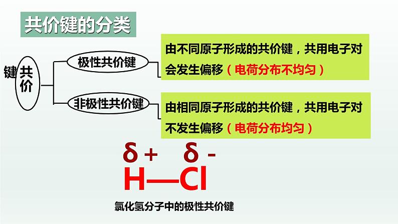 2.3.1分子结构与物质的性质（第1课时 共价键的极性）（课件精讲）-高二化学同步课件精讲及习题精练（人教版选择性必修2）04