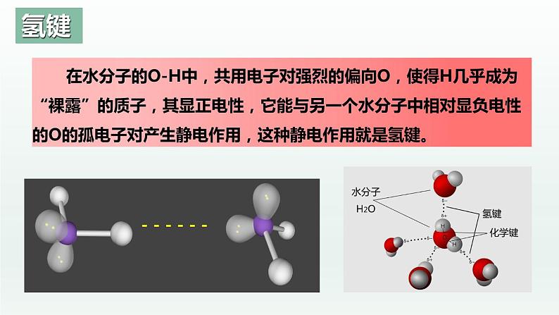 2.3.4分子结构与物质的性质（第4课时 氢键及其对物质性质的影响）（课件精讲）-高二化学同步课件精讲及习题精练（人教版选择性必修2）05