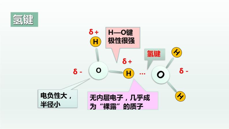 2.3.4分子结构与物质的性质（第4课时 氢键及其对物质性质的影响）（课件精讲）-高二化学同步课件精讲及习题精练（人教版选择性必修2）07