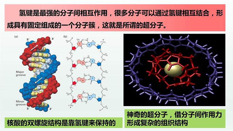 3.4.2  配合物与超分子（第2课时  超分子）（课件精讲）-高二化学同步课件精讲及习题精练（人教版选择性必修2）03