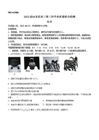 山东省2022-2023学年高三下学期4月第三次学业质量联合检测化学试题（Word版含答案）