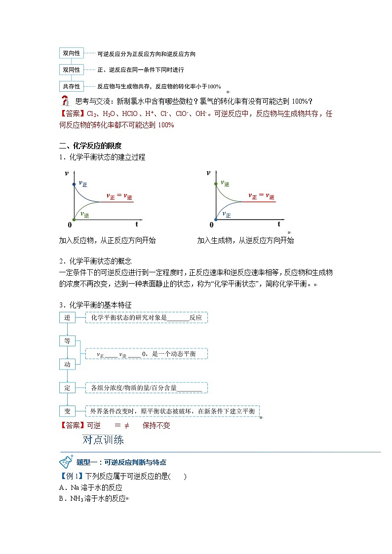 2023年新版高中化学 同步讲义（必修第二册） 第14讲 化学反应的限度 Word版含解析第2页