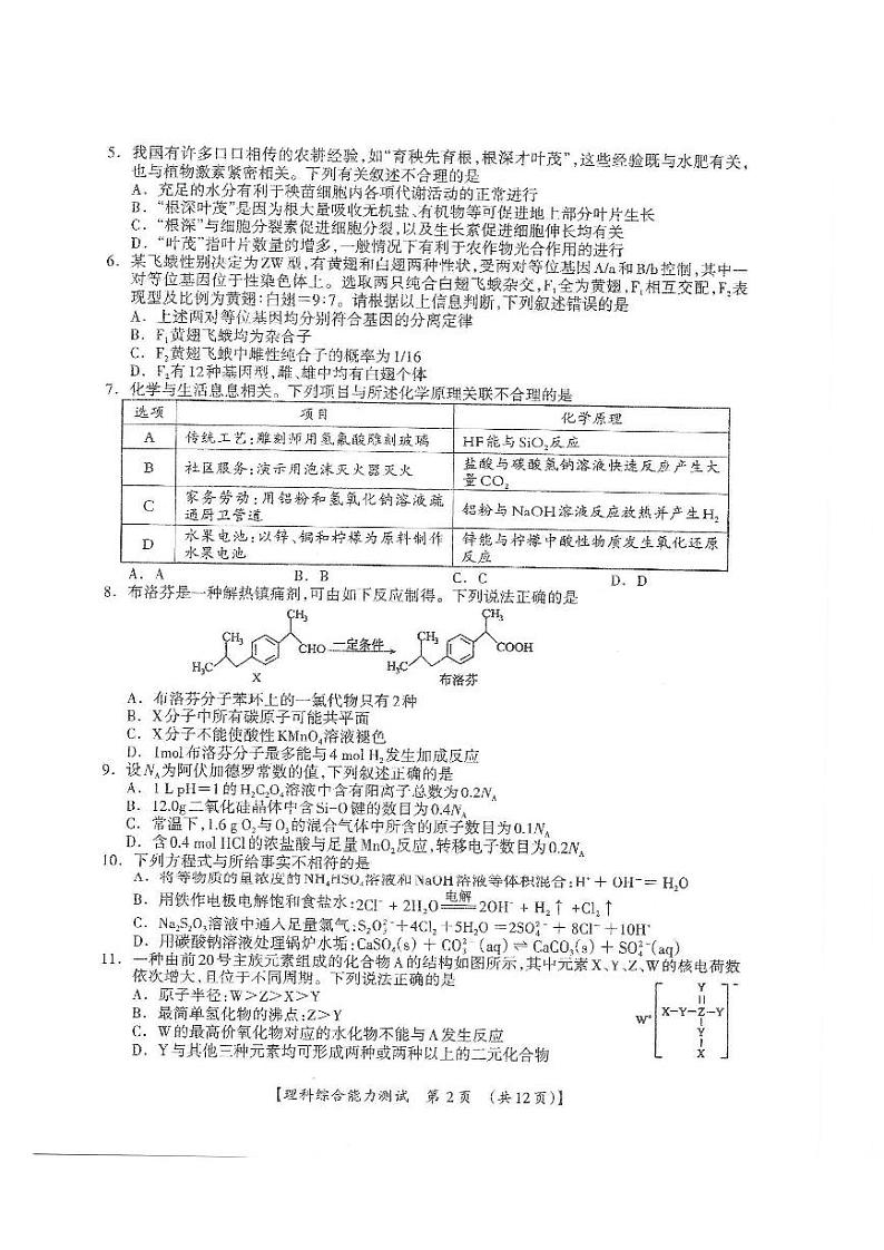 2023年4月高中毕业班第三次联合调研考试理综试题第2页