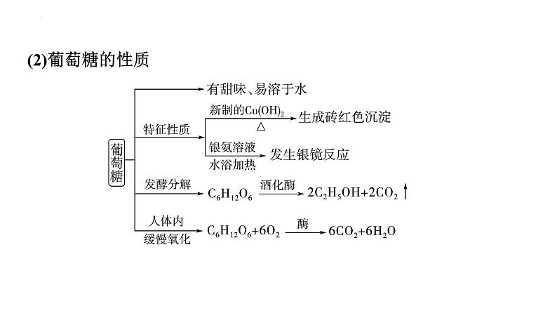 2024届高三化学高考备考一轮复习：生命中的基础有机物　合成高分子课件第6页