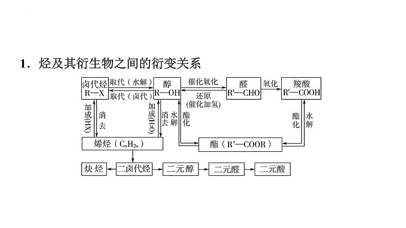 2024届高三化学高考备考一轮复习：有机合成路线的设计课件第3页