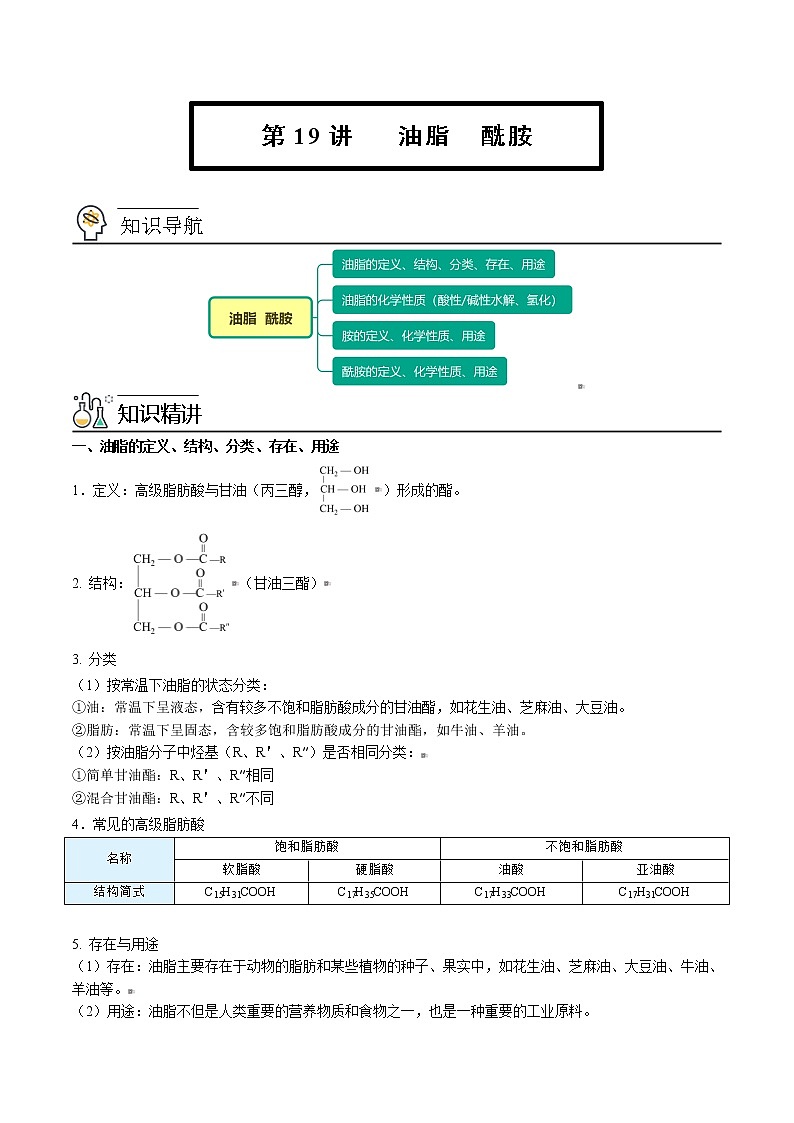 人教版高中化学选择性必修三精品讲义第19讲 油脂 酰胺（教师版）第1页