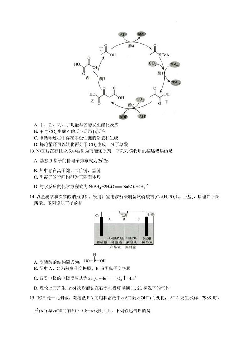 2022届湖北省武汉二中（武汉市）高三下学期4月调研考试化学试题（PDF版）03