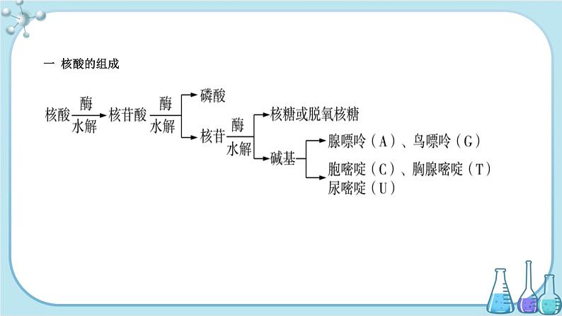 鲁科版高中化学选择性必修第三册·第2章 第3节 第3课时 核酸（课件PPT）03