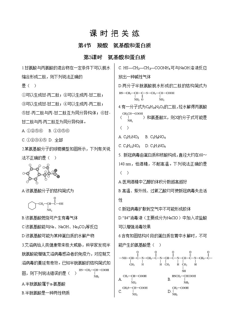 鲁科版高中化学选择性必修第三册·第2章 第4节 第3课时 氨基酸和蛋白质（同步练习含答案）01