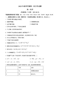 广西百色重点中学田林分校2022-2023学年高一下学期3月月考化学试题（解析版）