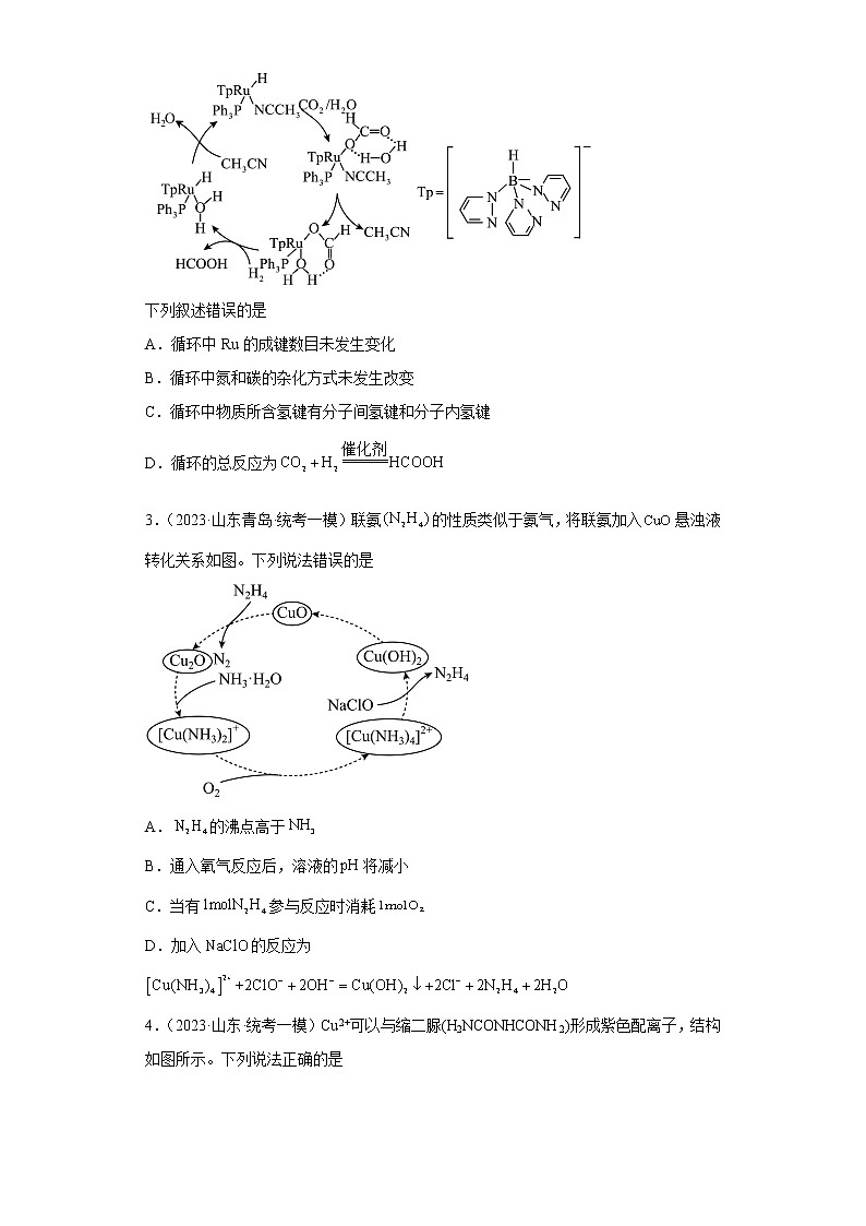 山东省2023年高考化学模拟题汇编-28分子结构与性质（选择题）第2页