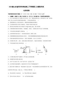 2023届山东省菏泽市单县高三下学期第二次模拟考试化学试卷 PDF版