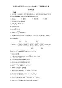 安徽省红星中学2022-2023学年高一下学期期中考试化学试题