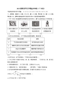 2023届新高考化学模拟冲刺卷（广东卷）（含解析）